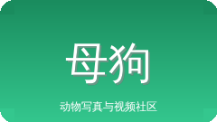 母狗